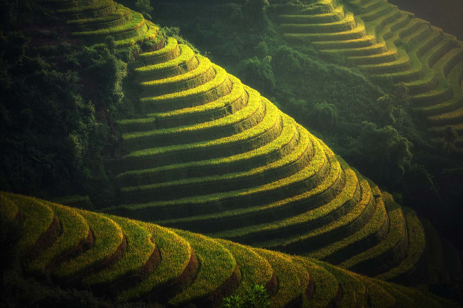 Amazing ChinaTours-Longji Terrace